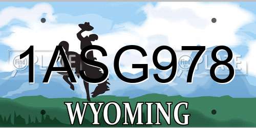 1ASG978 Wyoming License Plate