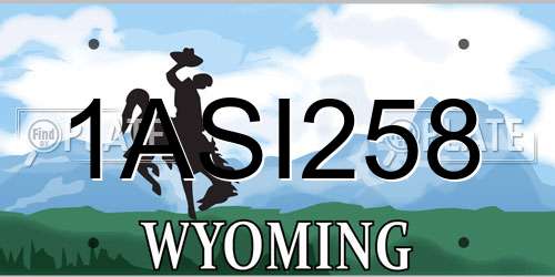 1ASI258 Wyoming License Plate