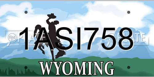 1ASI758 Wyoming License Plate