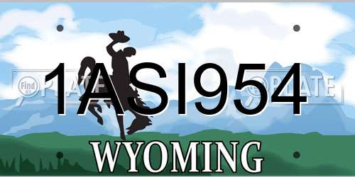 1ASI954 Wyoming License Plate