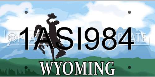 1ASI984 Wyoming License Plate