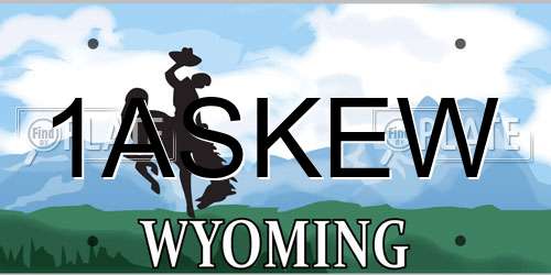 1ASKEW Wyoming License Plate