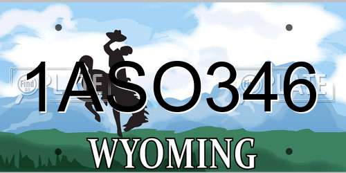 1ASO346 Wyoming License Plate