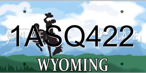 1ASQ422 Wyoming License Plate