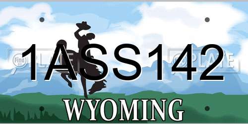 1ASS142 Wyoming License Plate