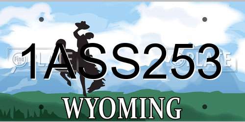 1ASS253 Wyoming License Plate