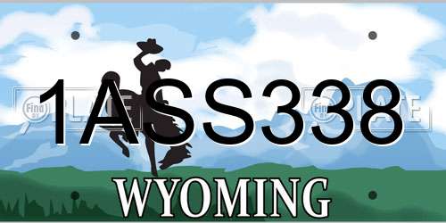 1ASS338 Wyoming License Plate