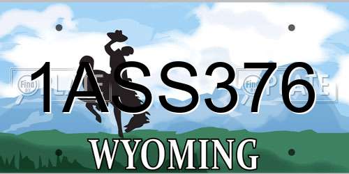 1ASS376 Wyoming License Plate