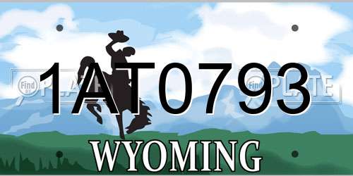 1AT0793 Wyoming License Plate