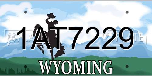 1AT7229 Wyoming License Plate
