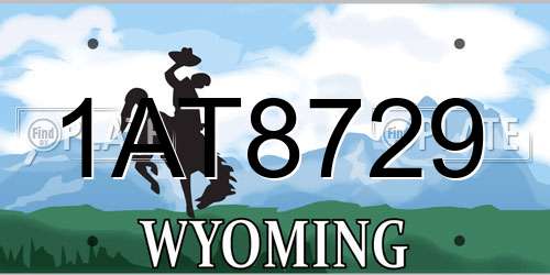 1AT8729 Wyoming License Plate