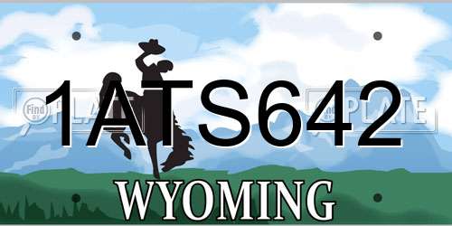 1ATS642 Wyoming License Plate