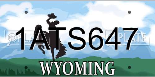 1ATS647 Wyoming License Plate