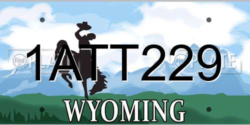 1ATT229 Wyoming License Plate