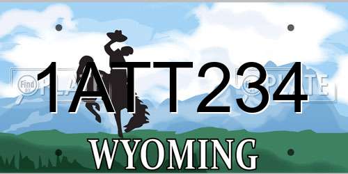 1ATT234 Wyoming License Plate