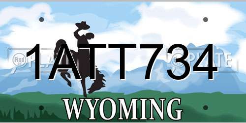 1ATT734 Wyoming License Plate