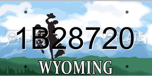 1B28720 Wyoming License Plate