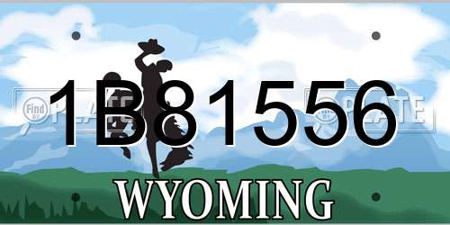 1B81556 Wyoming License Plate