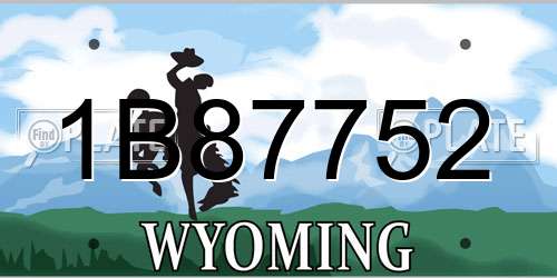1B87752 Wyoming License Plate
