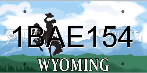 1BAE154 Wyoming License Plate
