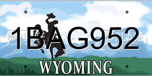 1BAG952 Wyoming License Plate