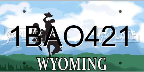 1BAO421 Wyoming License Plate