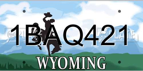 1BAQ421 Wyoming License Plate