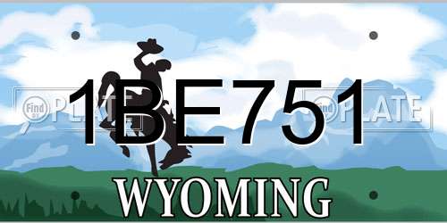 1BE751 Wyoming License Plate