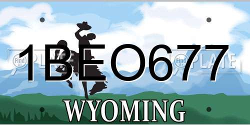 1BEO677 Wyoming License Plate