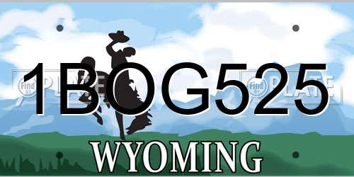 1BOG525 Wyoming License Plate