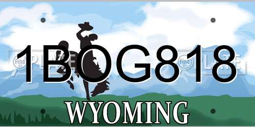 1BOG818 Wyoming License Plate