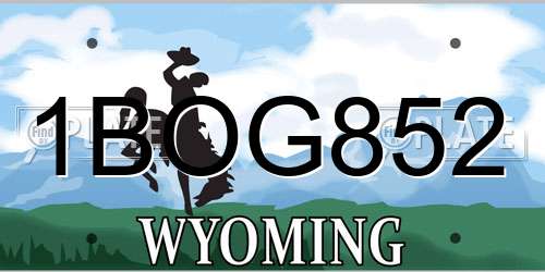 1BOG852 Wyoming License Plate