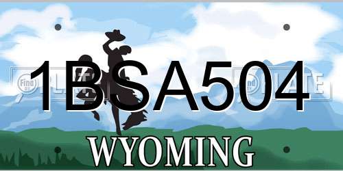 1BSA504 Wyoming License Plate