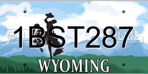 1BST287 Wyoming License Plate