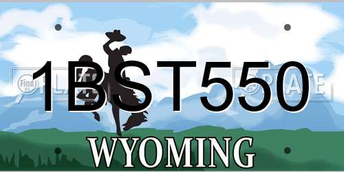 1BST550 Wyoming License Plate