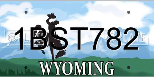 1BST782 Wyoming License Plate