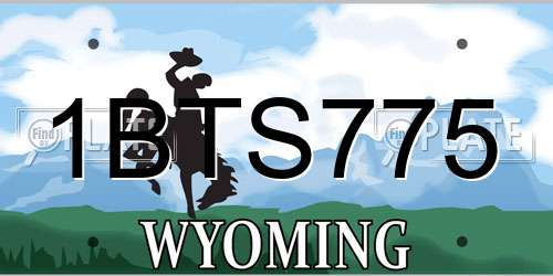 1BTS775 Wyoming License Plate