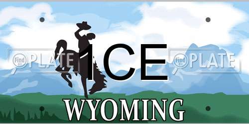 1CE Wyoming License Plate