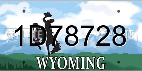 1D78728 Wyoming License Plate