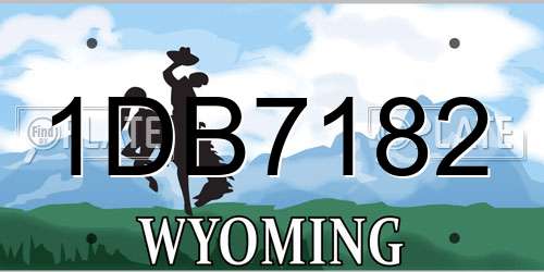 1DB7182 Wyoming License Plate