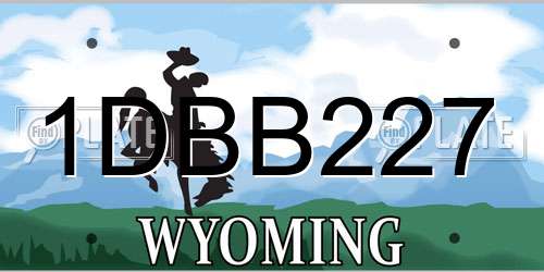 1DBB227 Wyoming License Plate