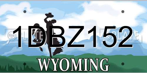 1DBZ152 Wyoming License Plate