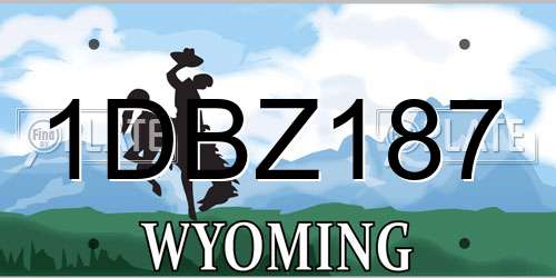 1DBZ187 Wyoming License Plate