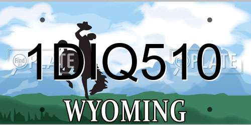 1DIQ510 Wyoming License Plate