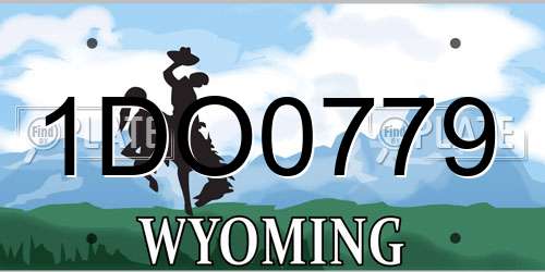 1DO0779 Wyoming License Plate