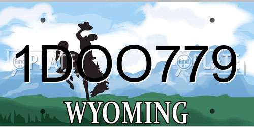 1DOO779 Wyoming License Plate