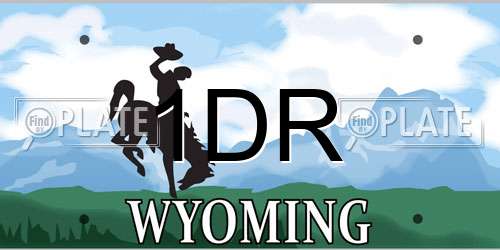 1DR Wyoming License Plate