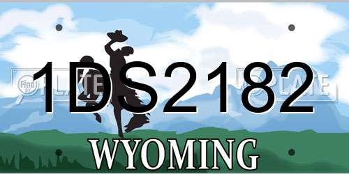 1DS2182 Wyoming License Plate