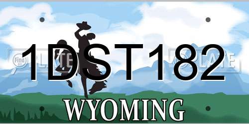 1DST182 Wyoming License Plate