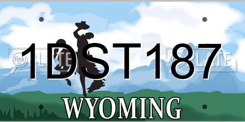 1DST187 Wyoming License Plate